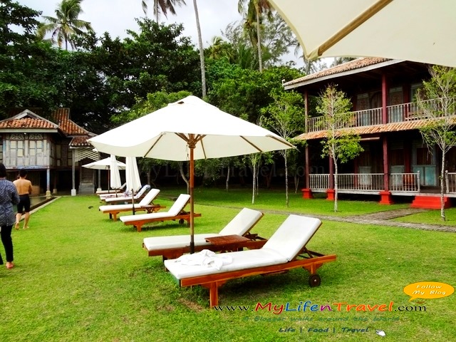 Temple Tree Swimming pool