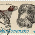 1973 - Tchecoslováquia - Cesky Fousek