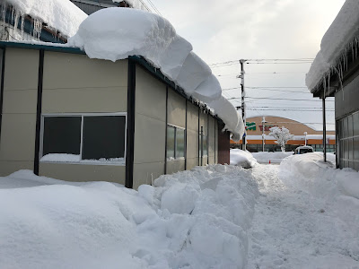 √完了しました！ 車 屋根 雪 149423-車 屋根 雪 違反