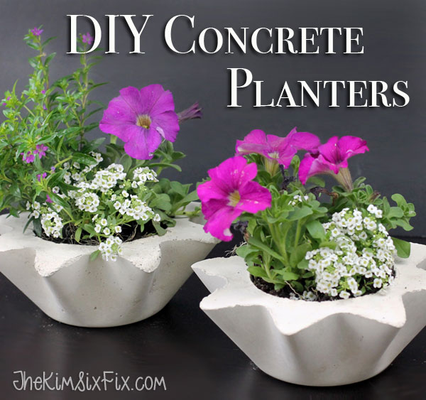 Scalloped DIY concrete planters