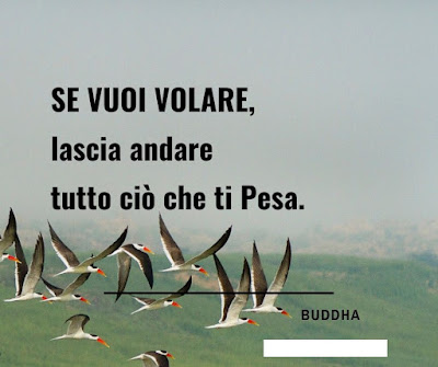 Frasi celebri sulla vita brevi