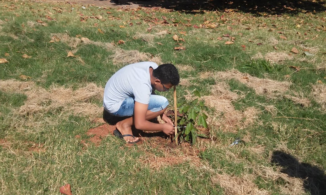 Projeto Revitalização da Escola Orlando.