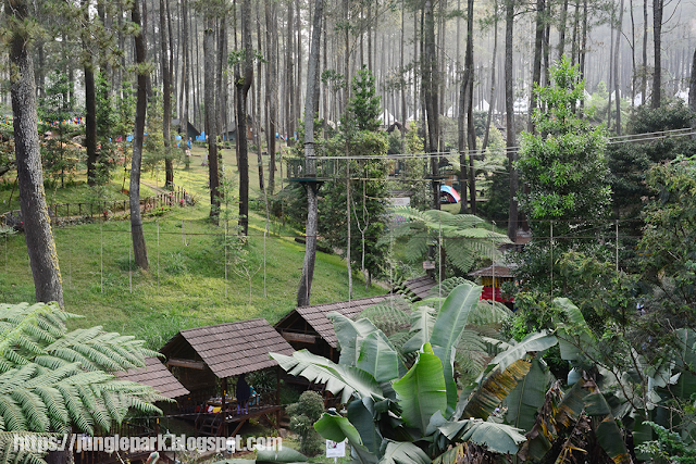 LEMBANG JUNGLE DISCOVERY | Outbound Konsep Hutan di Bandung