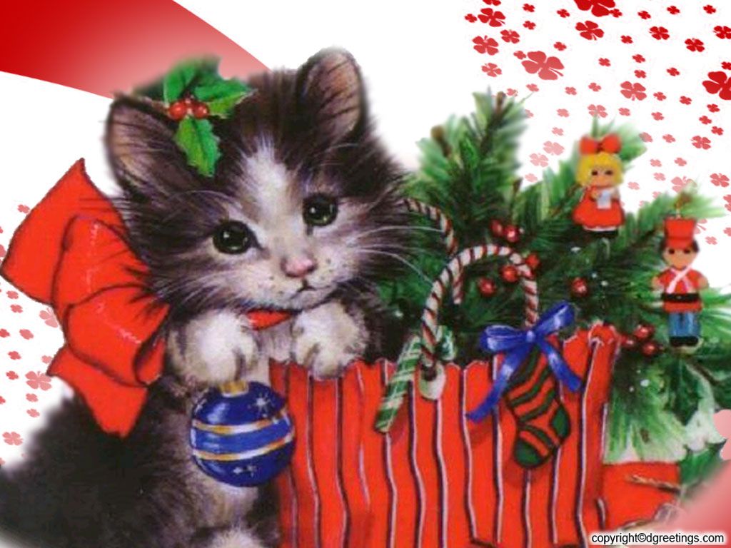 Christmas kitten mug - noir couture worldwide - home my free wallpapers 