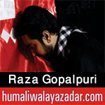 http://www.humaliwalayazadar.com/2017/09/raza-gopalpuri-nohay-2018.html