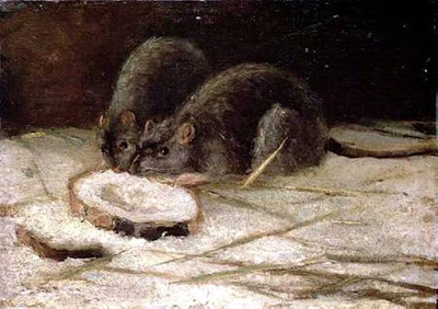 One thing for creationists to like about rodents is that they confound evolutionists on several areas.