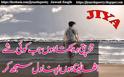 urdu poetry / shayari