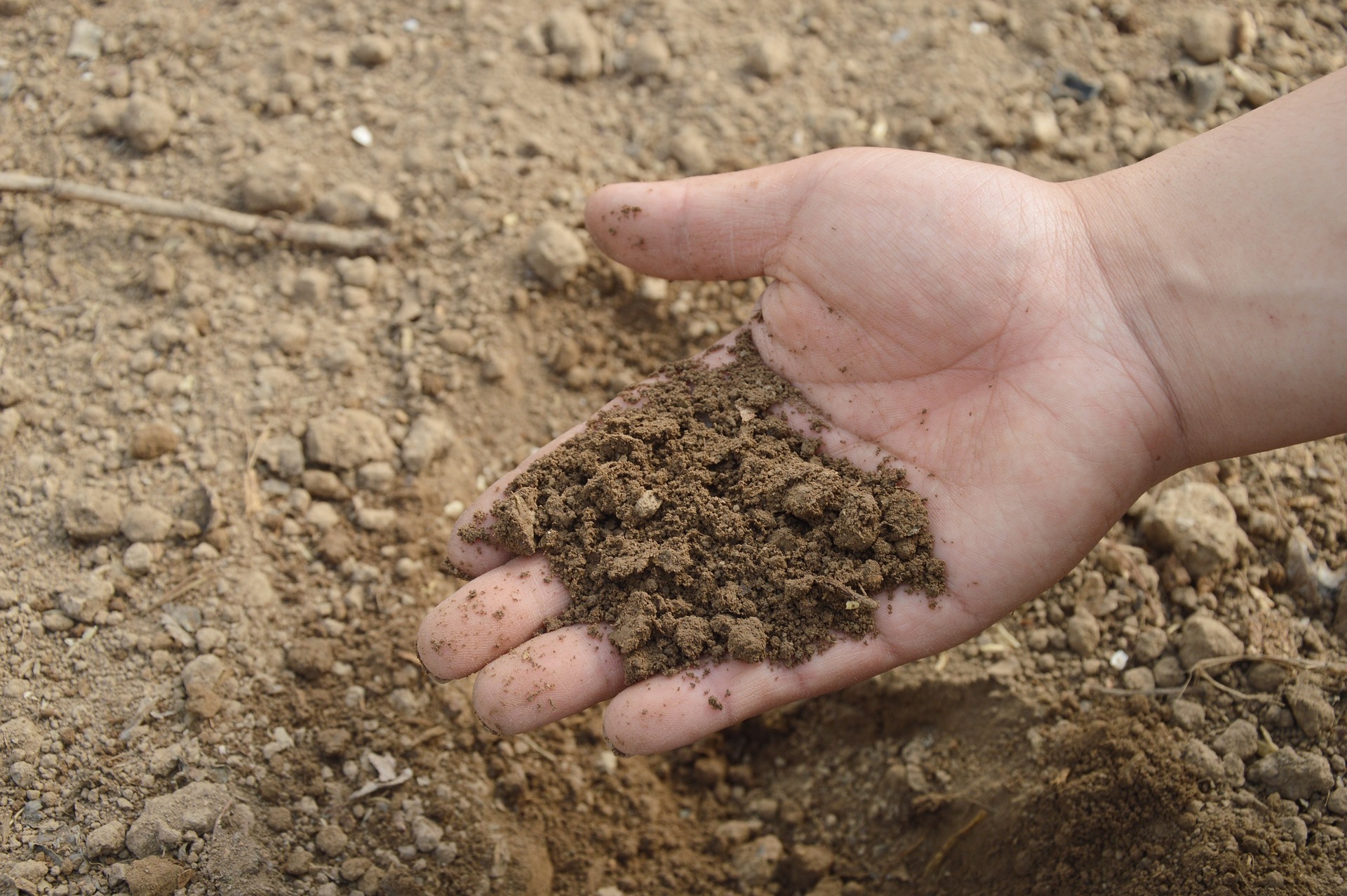 Soil is an amalgamation of sand, silt, and clay, forming a delicate balance known as loam. Grasping the nuances of your soil's composition is vital; it sets the stage for tailored amendments.