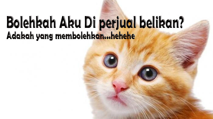 Hukum Ilmu Fiqh Tentang Jual Beli Kucing Boleh atau Tidak ? - Al 