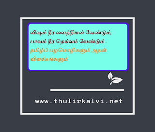 விஷம் தீர வைத்தியன் வேண்டும், பாவம் தீர தெய்வம் வேண்டும் - தமிழ்ப் பழமொழிகளும் அதன் விளக்கங்களும் 