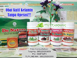 Obat Kutil Kelamin