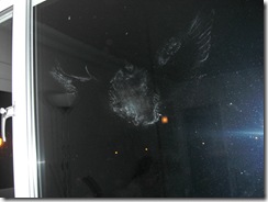 livingroom window3