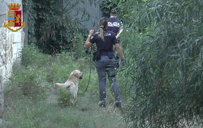 Operazione “Paride”, la Polizia di Stato sequestra soldi e droga