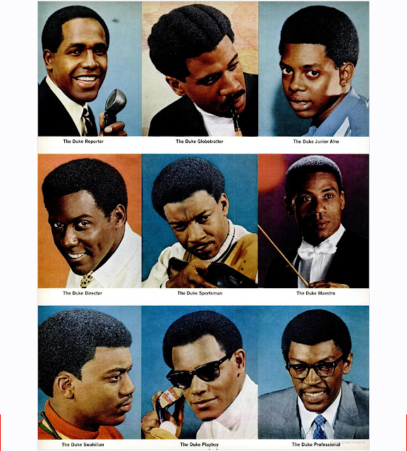 Duke Pomade: Hairstyle Poster