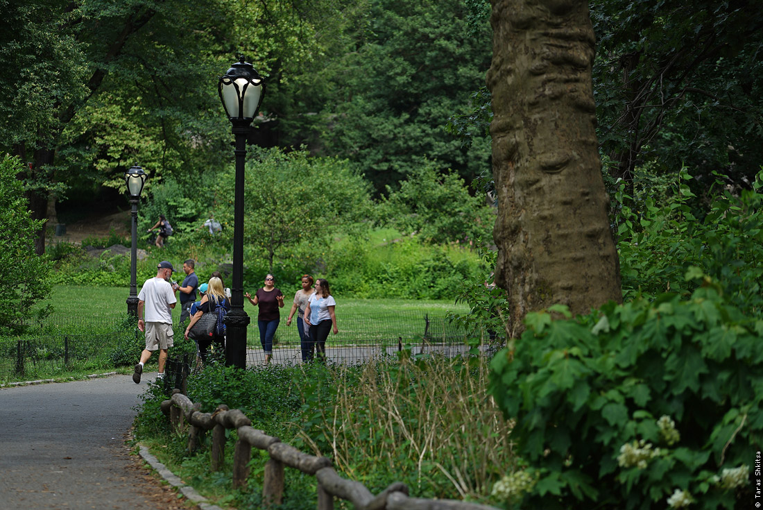 Central Park. Hallett Nature Sanctuary