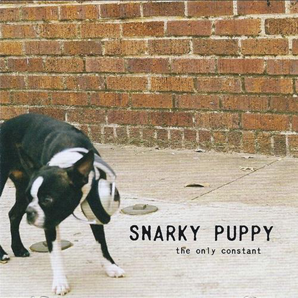 La Destileria Sonora Snarky Puppy Discografia Discography