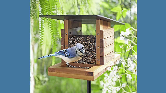 Birdhouse Feeder Plans