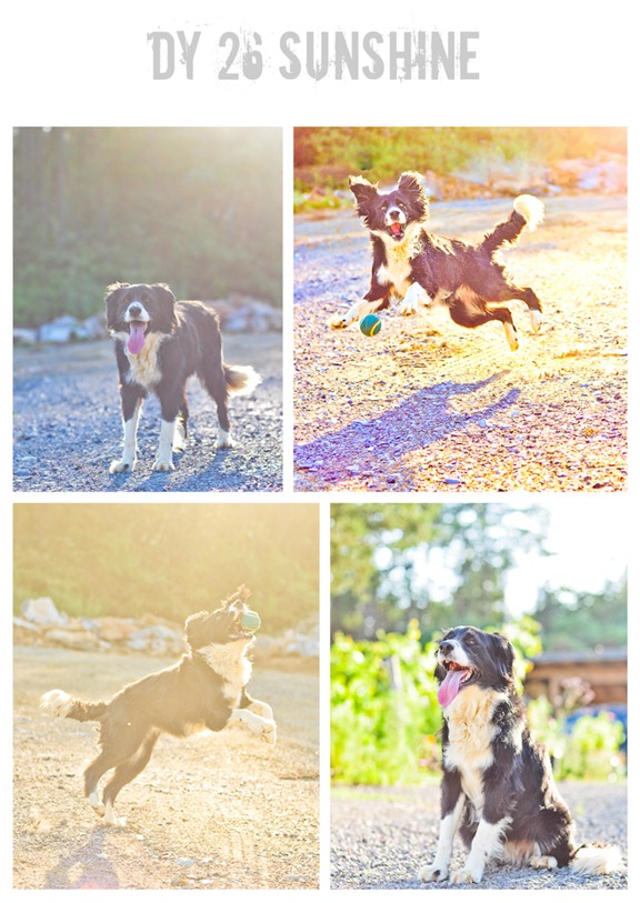 sunshine collage-