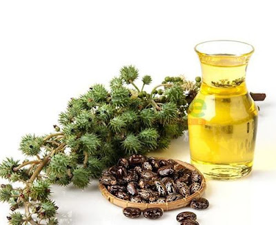 Demand for Castor Oil gone Down Drastically