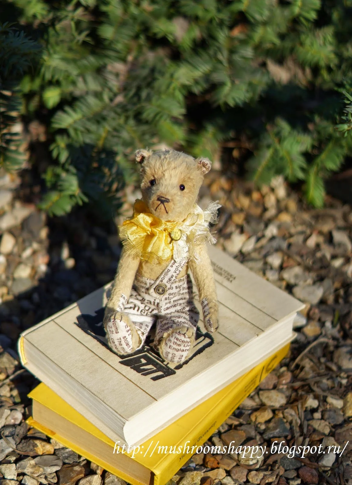 books and teddy bear