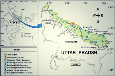 उत्तर भारत के मैदान में तराई प्रदेश