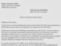 Lettre De Motivation Pour Un Emploi Vendeuse