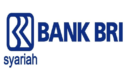 LOWONGAN KERJA BANK BRI SYARIAH 2017