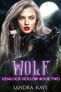 Wolf by Sandra Kaye