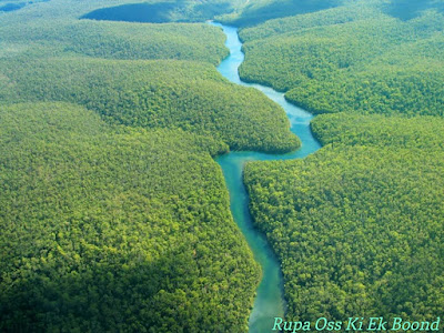 अमेजन नदी (Amazon River)