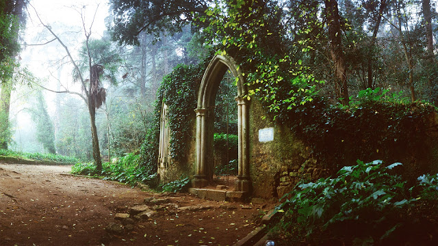 Quinta das Lágrimas