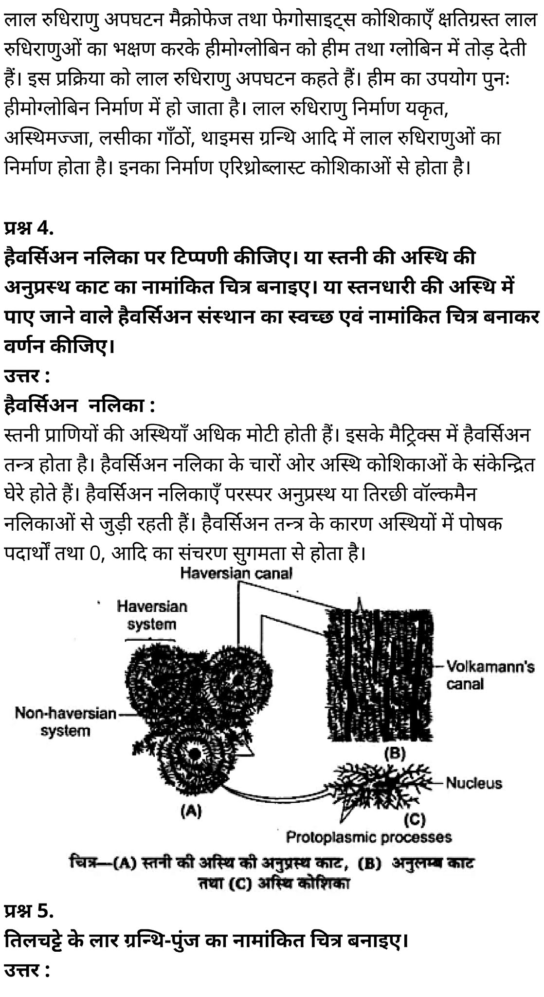 कक्षा 11 जीव विज्ञान अध्याय 7 के नोट्स हिंदी में एनसीईआरटी समाधान,   class 11 Biology Chapter 7,  class 11 Biology Chapter 7 ncert solutions in hindi,  class 11 Biology Chapter 7 notes in hindi,  class 11 Biology Chapter 7 question answer,  class 11 Biology Chapter 7 notes,  11   class Biology Chapter 7 in hindi,  class 11 Biology Chapter 7 in hindi,  class 11 Biology Chapter 7 important questions in hindi,  class 11 Biology notes in hindi,  class 11 Biology Chapter 7 test,  class 11 BiologyChapter 7 pdf,  class 11 Biology Chapter 7 notes pdf,  class 11 Biology Chapter 7 exercise solutions,  class 11 Biology Chapter 7, class 11 Biology Chapter 7 notes study rankers,  class 11 Biology Chapter 7 notes,  class 11 Biology notes,   Biology  class 11  notes pdf,  Biology class 11  notes 2021 ncert,  Biology class 11 pdf,  Biology  book,  Biology quiz class 11  ,   11  th Biology    book up board,  up board 11  th Biology notes,  कक्षा 11 जीव विज्ञान अध्याय 7, कक्षा 11 जीव विज्ञान का अध्याय 7 ncert solution in hindi, कक्षा 11 जीव विज्ञान  के अध्याय 7 के नोट्स हिंदी में, कक्षा 11 का जीव विज्ञान अध्याय 7 का प्रश्न उत्तर, कक्षा 11 जीव विज्ञान अध्याय 7 के नोट्स, 11 कक्षा जीव विज्ञान अध्याय 7 हिंदी में,कक्षा 11 जीव विज्ञान  अध्याय 7 हिंदी में, कक्षा 11 जीव विज्ञान  अध्याय 7 महत्वपूर्ण प्रश्न हिंदी में,कक्षा 11 के जीव विज्ञानके नोट्स हिंदी में,जीव विज्ञान  कक्षा 11 नोट्स pdf,