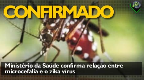 Resultado de imagem para Estudo brasileiro confirma que zika provoca microcefalia em bebês