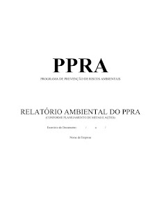 modelo ppra