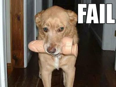 dog fail