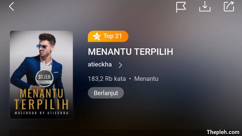 Novel Menantu Terpilih Full Bab