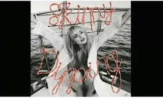 Sabrina Carpenter - Skinny Dipping Lyrics