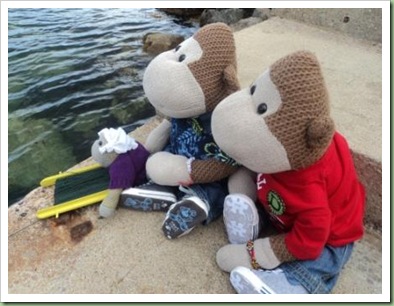Crabbing in Brixham