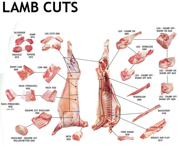Easy Cooking: Lamb Cuts
