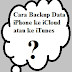 Cara Backup Data iPhone ke iCloud atau ke iTunes