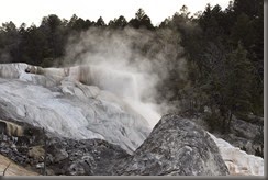 IMG_3366