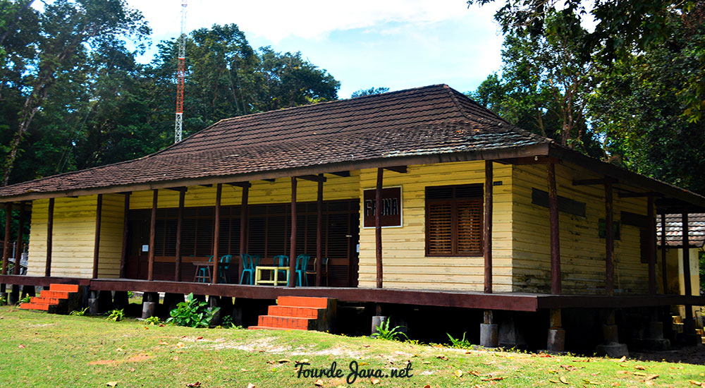 Flora Dan Fauna Resort Dan Penginapan Di Pulau Peucang