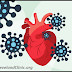Problemas cardíacos associados com a gripe são causados por infecção direta do vírus no coração, aponta estudo
