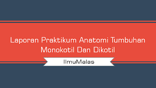 Laporan Praktikum Anatomi Tumbuhan Monokotil Dan Dikotil