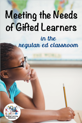 Homogeneous grouping for gifted students allows them to have a support system in the classroom, someone to bounce off their ideas.