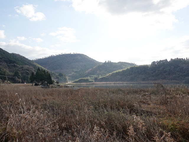 湯梨浜町宮内（県道234号東郷羽合線）からの眺望