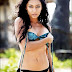 Bollywood Model Bikini Photos & Wallpapers
