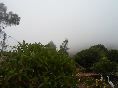 Resultado de imagem para chuva na meruoca na boa vista