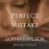 Book Blitz - Excerpt & Giveaway - Perfect Mistake by Sophia Karlson