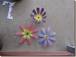 DSC08689