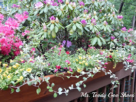 Make A Flower Box For The Deck --- Ms. Toody Goo Shoes